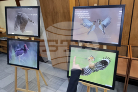 Хасково - Богдан Боев - изложба