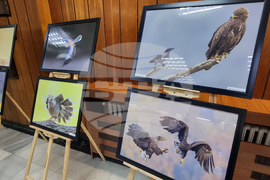 Хасково - Богдан Боев - изложба