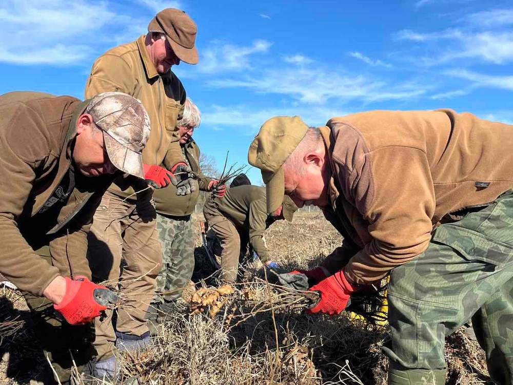 Над 214 000 фиданки подготвят горските служители в Елхово за пролетната залесителна кампания