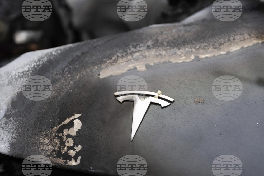 Germany Burnt Tesla