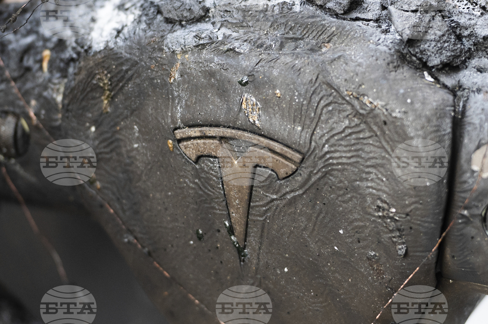 Germany Burnt Tesla