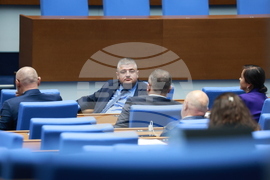 Народно събрание - парламентарен контрол