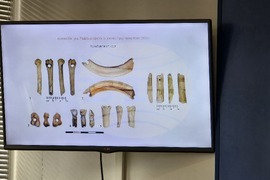 Национален пресклуб на БТА Видин - пресконференция - пещера Магурата - разкопки - резултати
