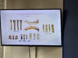 Национален пресклуб на БТА Видин - пресконференция - пещера Магурата - разкопки - резултати