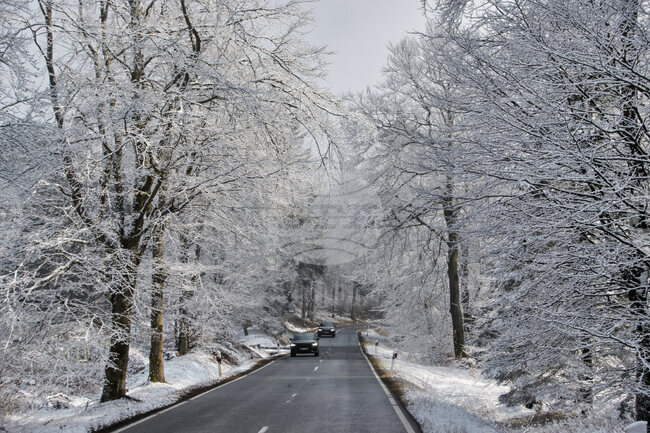 Извънредно положение в три сръбски общини заради снеговалеж и прекъсвания на тока и водата