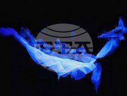 Бургас - Държавен куклен театър - "Виелица" - премиера