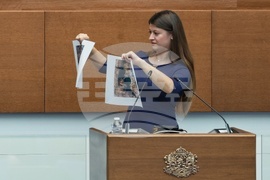 Народно събрание - парламентарен контрол