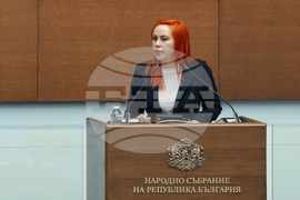 Народно събрание - парламентарен контрол