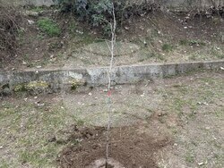 Снимка: Община Русе