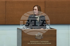 Народно събрание - парламентарен контрол