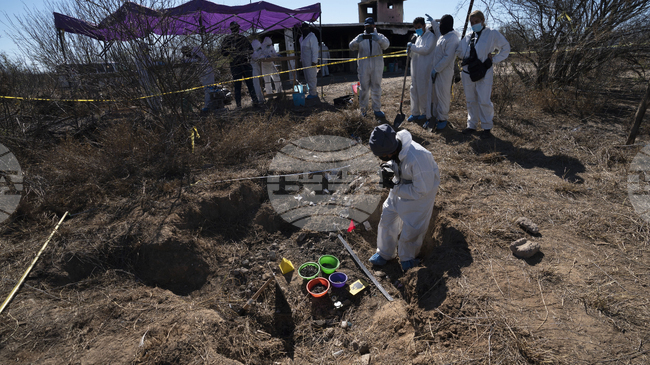 Мексикански съдия постанови, че Министерството на отбраната на Мексико трябва да предостави разузнавателна информация във връзка с изчезнали студенти