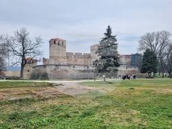 Видин - професионално образование - семинар