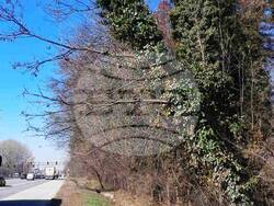 Снимка: Пресцентър Столична община