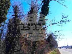 Снимка: Пресцентър Столична община