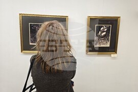 Пловдив - Атанас Яранов - годишнина - изложба