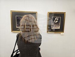 Пловдив - Атанас Яранов - годишнина - изложба