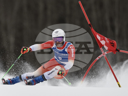 Norway Alpine Skiing World Cup