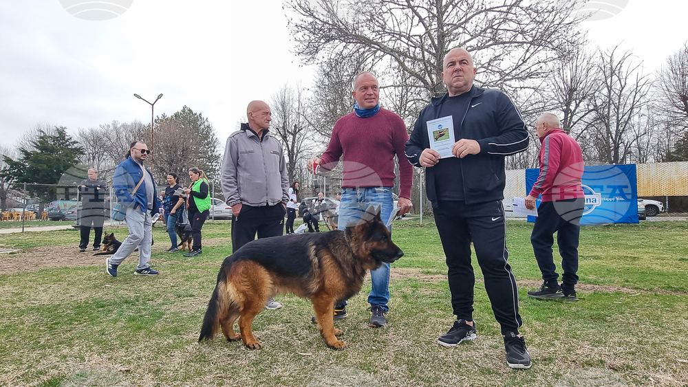 Димитровград - киноложка изложба