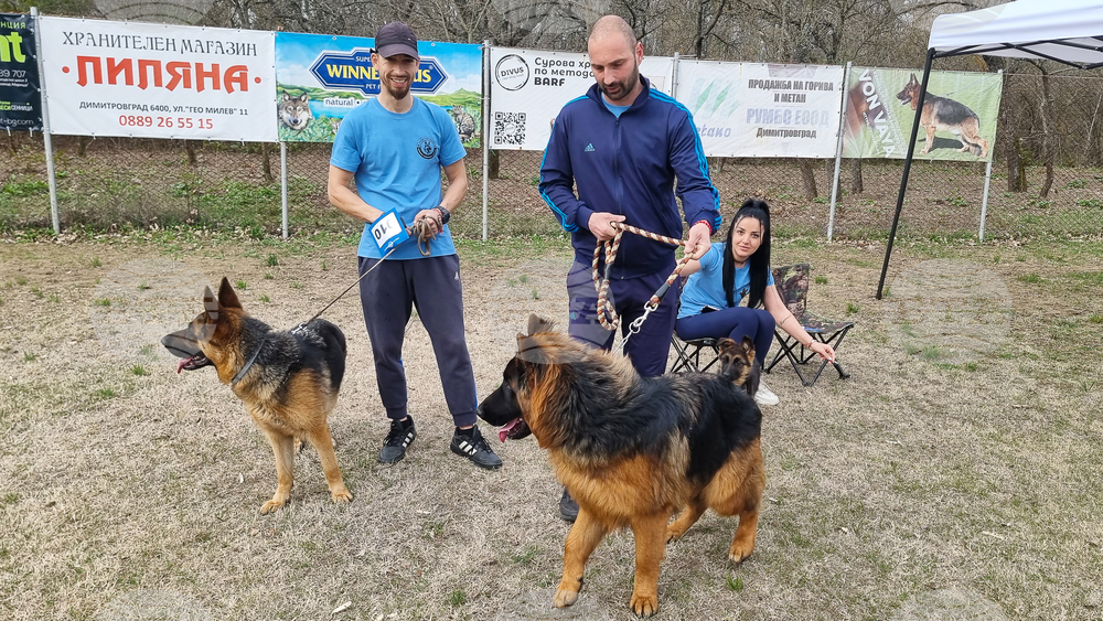 Димитровград - киноложка изложба