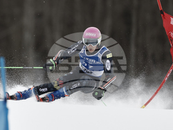 Norway Alpine Skiing World Cup