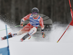 Norway Alpine Skiing World Cup