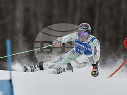 Norway Alpine Skiing World Cup