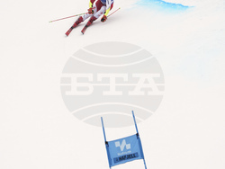 Norway Alpine Skiing World Cup
