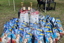 Пловдив - Каракачански кучета - юбилейна изложба