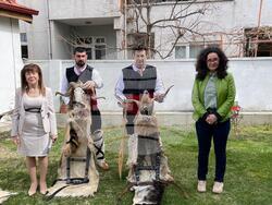 Турция - Одрин - българско неделно училище - кукерски обичай