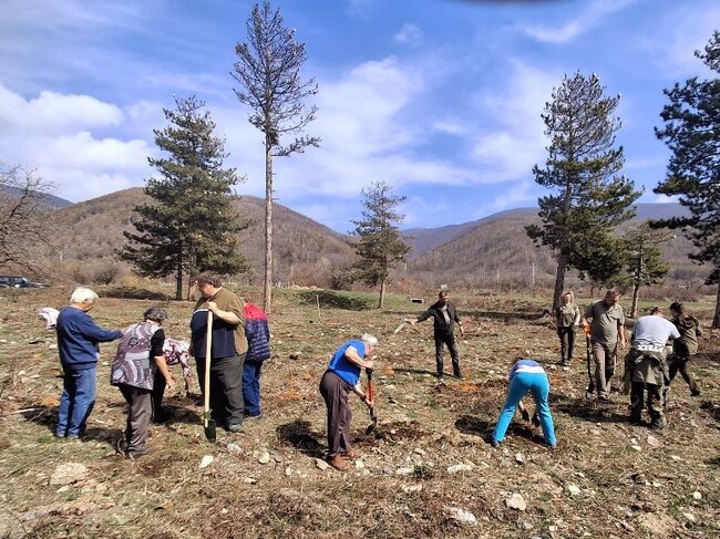 Организират залесяване в района на град Шипка по повод предстоящата Седмица на гората