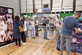 Варна - изложба - котки