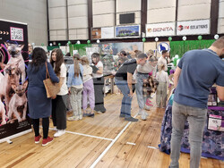 Варна - изложба - котки