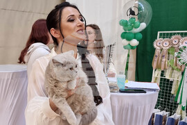 Варна - изложба - котки - Алина Ингор