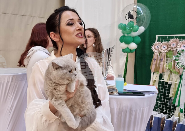 Около 150 екземпляра са представени на Световната изложба на котки във Варна