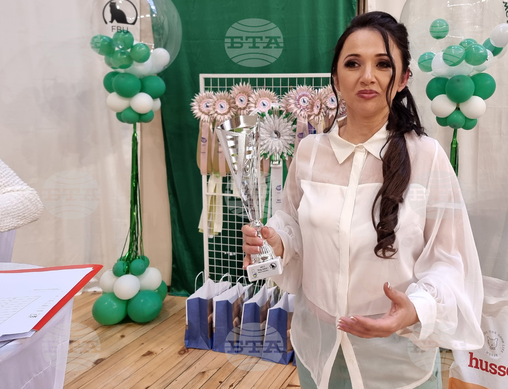 Варна - изложба - котки - Алина Ингор