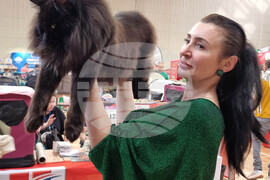 Варна - изложба - котки