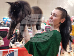 Варна - изложба - котки