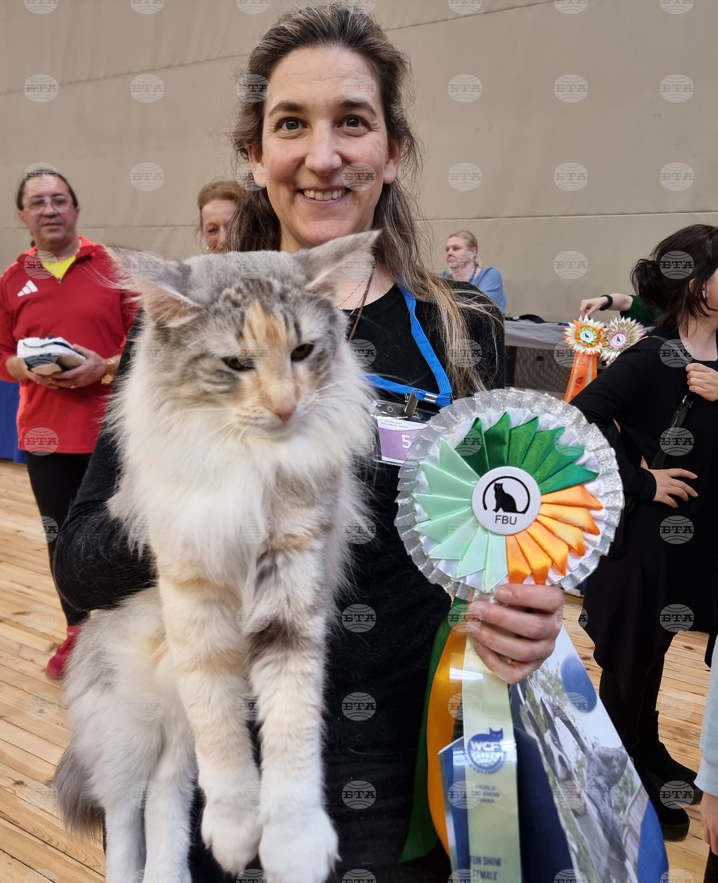 Варна - изложба - котки