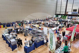 Варна - изложба - котки