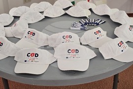 Село Огняново - „Грижа за хората с диабет тип 2“ - обучителен семинар