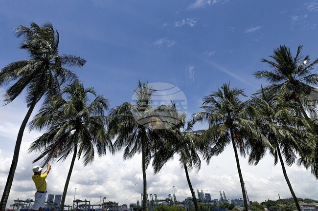 Плуването в открити води за жени на 10 км от Световното първенство в Сингапур бе отложено заради замърсена вода