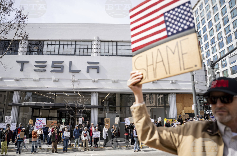 Tesla Musk Protest