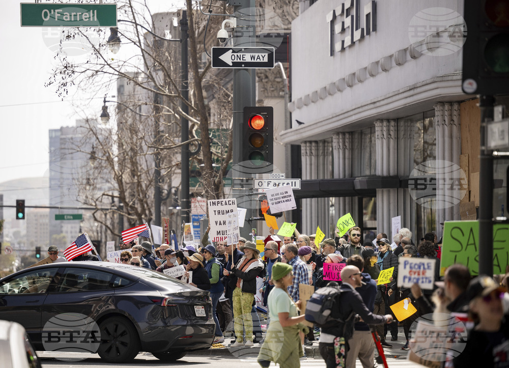 Tesla Musk Protest