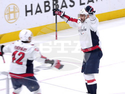 Capitals Sharks Hockey