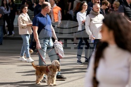 Протест срещу насилието над животни