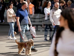 Протест срещу насилието над животни