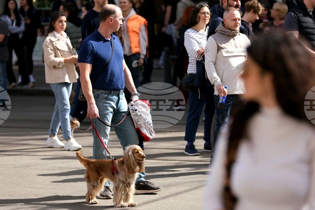 Граждани протестират в София срещу насилието над животни