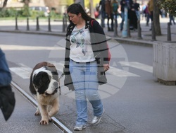 Протест срещу насилието над животни