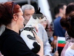 Протест срещу насилието над животни