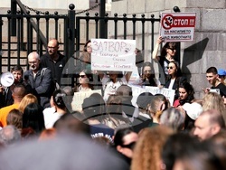 Протест срещу насилието над животни